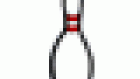Kręgiel