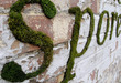 Ekologiczne graffiti