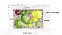 Jak zaprojektować domowy ogródek z ziół? 
