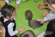 Dzień Jeża w Krakowie – spotkanie dla dzieci w aak