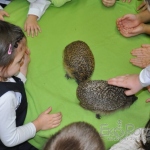 10.11 Dzień Jeża – spotkanie z Eko Jeżem dla dzieci 